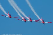 262IMG_4661