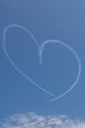 264IMG_8797