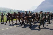 290DSC02468