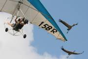 110IMG_3376