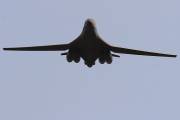 250IMG_2121
