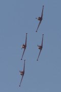 221IMG_8660