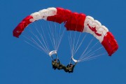 460IMG_9478