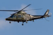 500IMG_9812