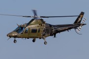 500IMG_9888