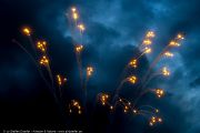 242IMG_9961