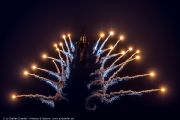 261IMG_2955