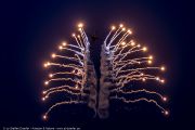 261IMG_2965