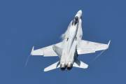 f015IMG_4634
