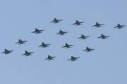 f098IMG_5177