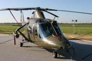st29IMG_4439