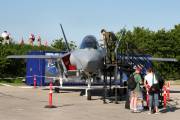 st41IMG_4468