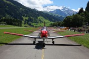 262IMG_8174