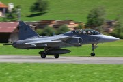 290IMG_6208