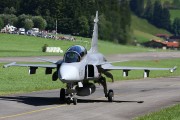 294IMG_7249