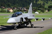 294IMG_7252