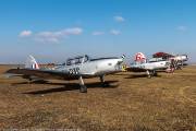 584IMG_3025