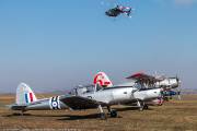 584IMG_3071
