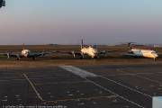 601IMG_4777