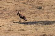 745IMG_5098