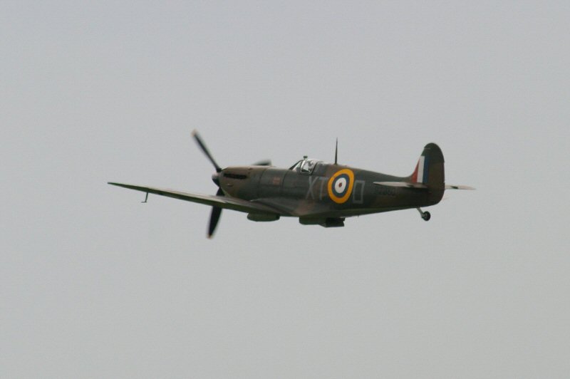 CRW_9933_RJ