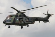 123IMG_6039