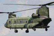 123IMG_6113