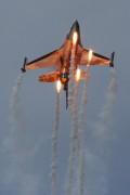 131IMG_7597