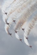 201IMG_6418