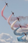201IMG_6455