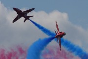 201IMG_8688