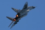 220IMG_8849