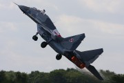 220IMG_8937