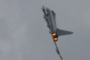 223IMG_9386