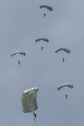 260IMG_2607