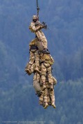 266IMG_2524