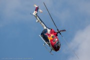 381IMG_9116