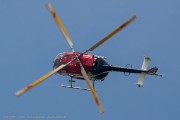 381IMG_9122
