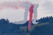 741IMG_3996