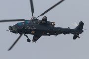 080IMG_4769