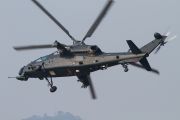 080IMG_4771