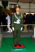 501IMG_8177