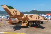 262IMG_8463