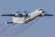 488IW5A8072