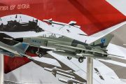 565IMG_8723